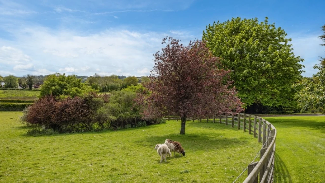 
                        736-saintfield-road--44.jpg, Belfast, BT8 8AT