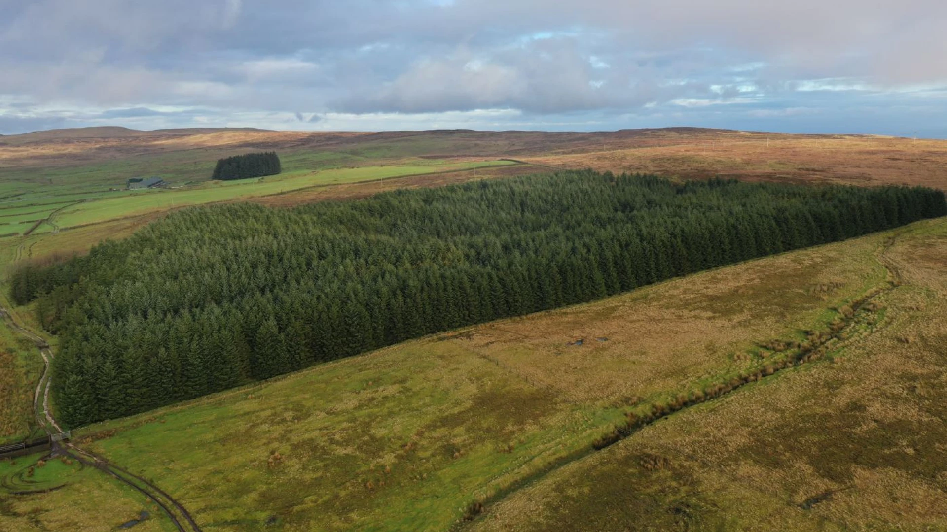 Forestry Land on Mullaghsandall Road