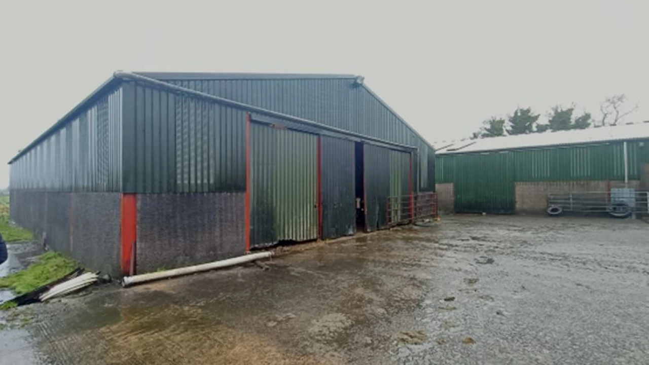 Former Dairy Unit at Carnalbanagh Road OKT (O'Connor Kennedy Turtle