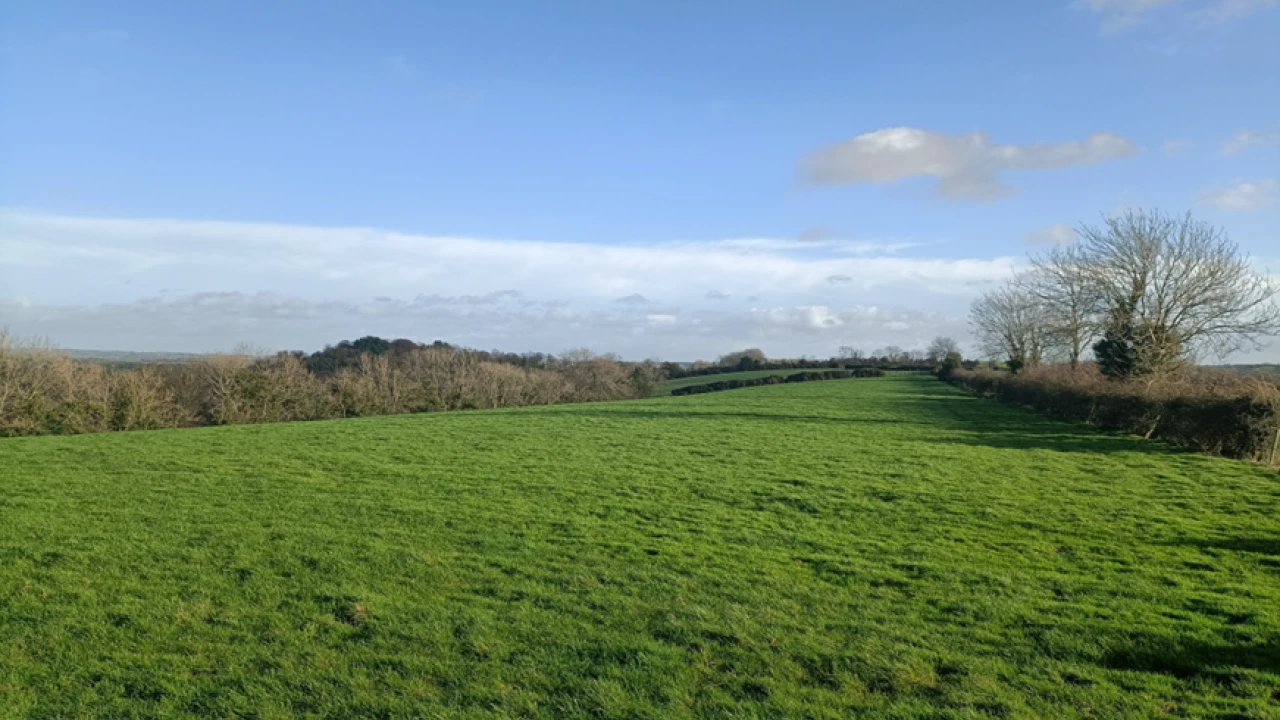 
                        web2.png, Hillsborough, BT26 6BN